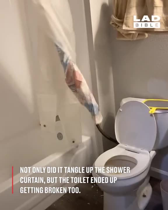 'Next door's plumber snaked our shower curtain..