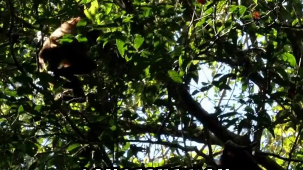 Random facts about Costa Rica