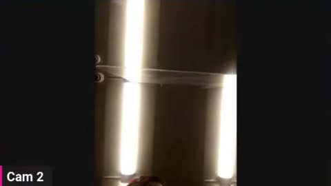 I Ride Scooter | Drunk Tweaker Cruising the Streets!