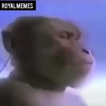 كي تشري كيت ب 4 لاف فرنك..