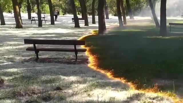 This Fire Refreshes The Grass