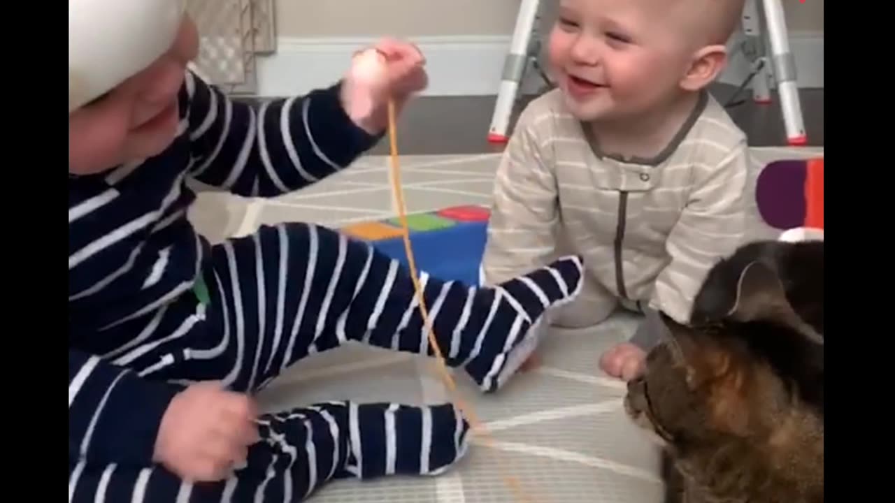 Baby & cat's cute video part - 8