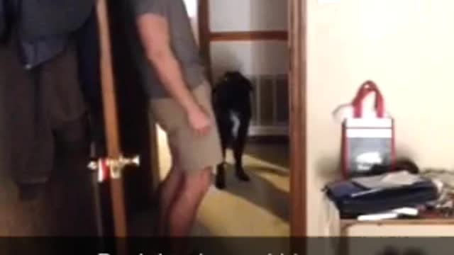 Dog and male owner howl together