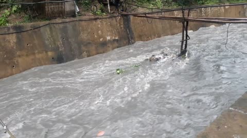 Big flood water in the riverbank