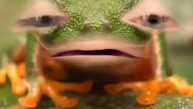 420frog loves Welcome Back Kotter