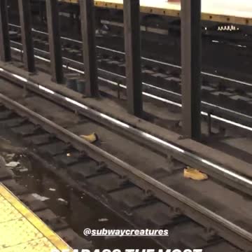 Pair of brown timberland boots thrown on subway train tracks