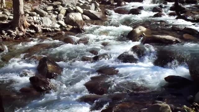 Mountain River 29