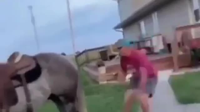 Try not to laugh