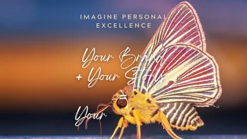 Imagine Personal Excellence