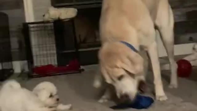 9.❤️❤️❤️