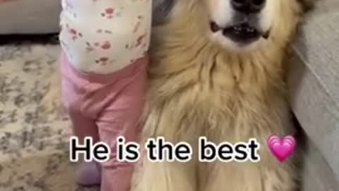 Funny Animals | Wait for it 😂 |