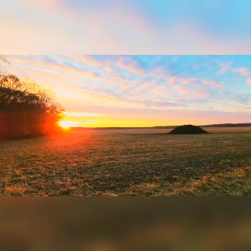 Today's Moment In Nature 🍂