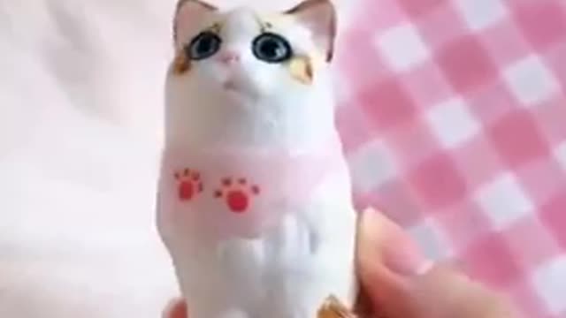 Cute cats ever