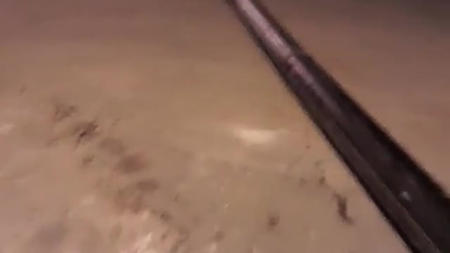 # BIGGEST SNAKE IN THE WORLD IS IN BRAZIL#