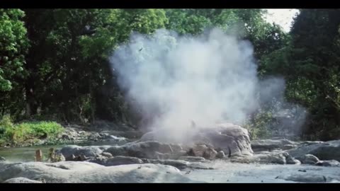 Rambo Vs Tru-D'oh