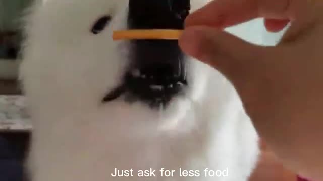 Other life requirements are not high