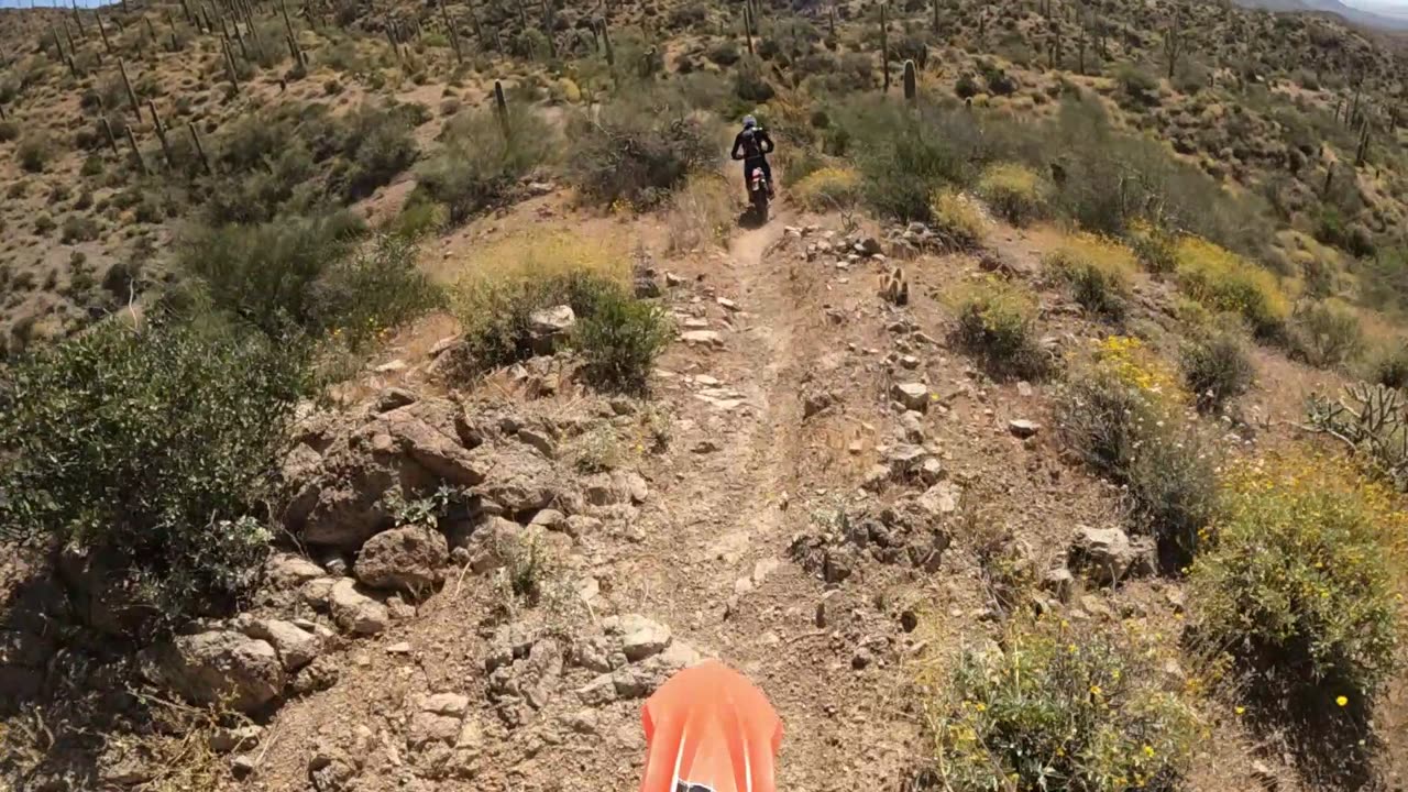 #single track Saturday. Arizona single track ride on Beta300's