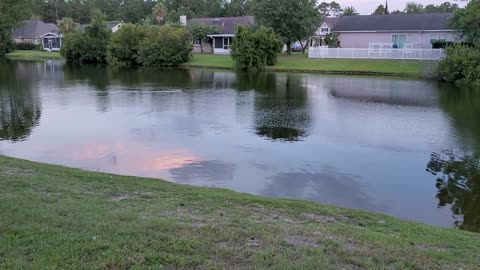 Early evening lake scenes and sounds