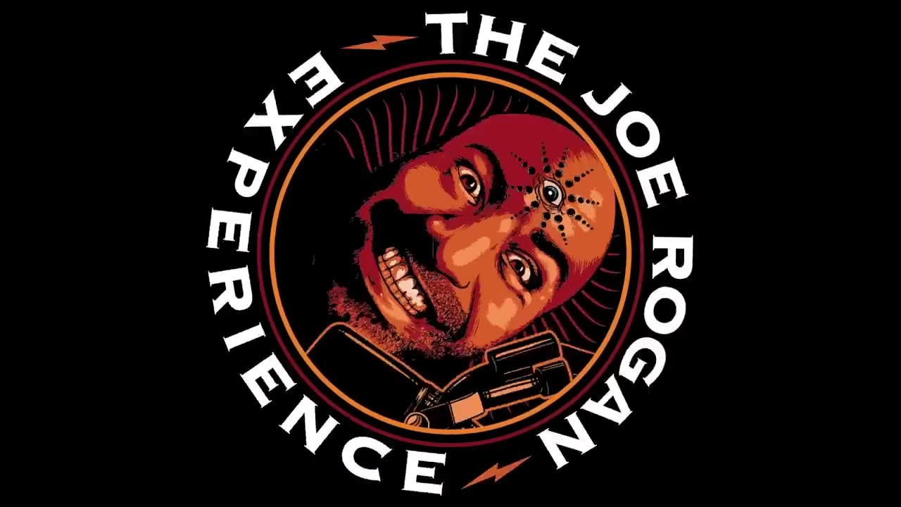 Joe Rogan Experience - Simulation Theorist, Rizwan Virk