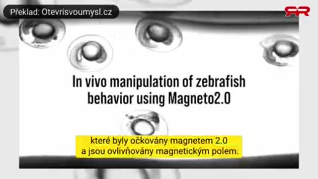 Varování francouzského vědce z roku 1995, jak změnit člověka pomocí očkování