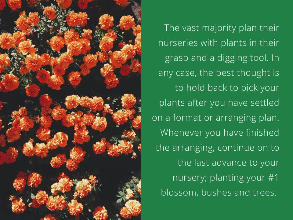 Peter J Salzano - Use These Tips To Grow A Better Organic Garden