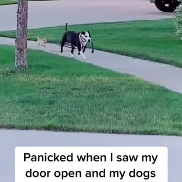 He had to take matters into his own hands