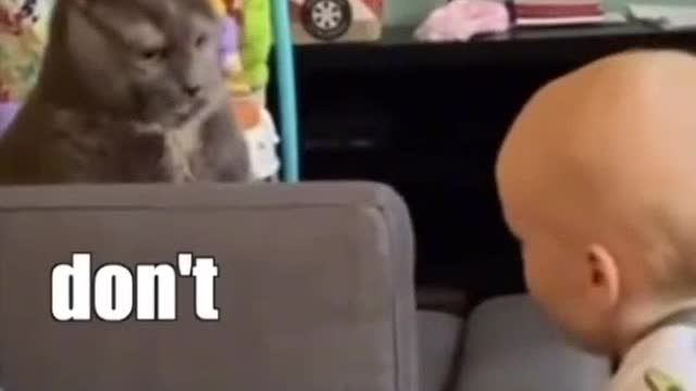 Cat vs Baby