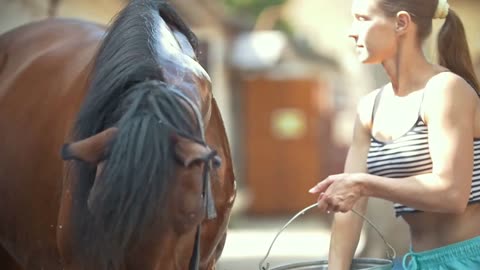 A woman washes a horse in the stable