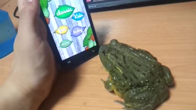 African Bullfrog owns Ant Crusher