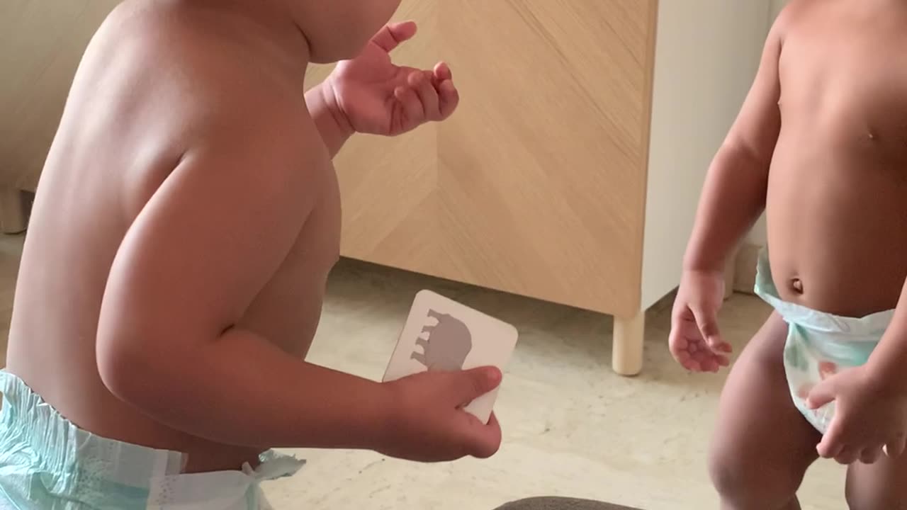 Twin Babies Have an Argument