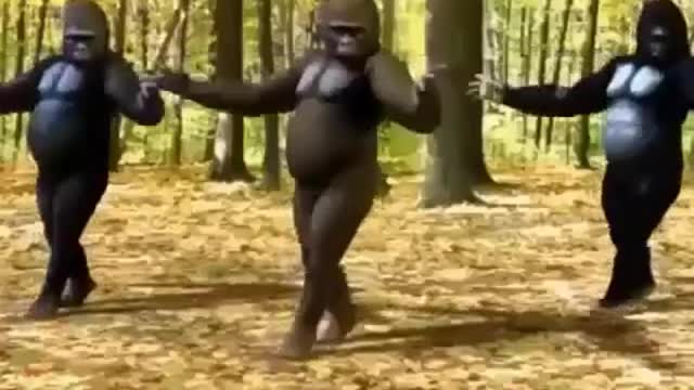 Check Out What This Super Cool Monkey Is Up To..😆😆