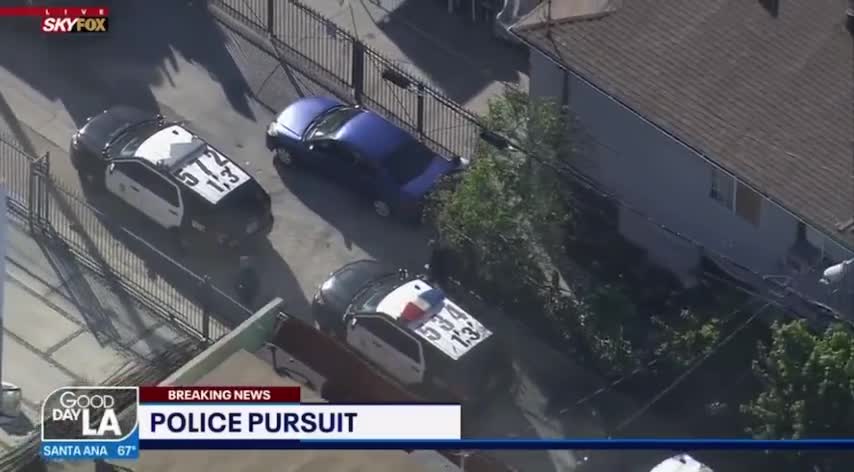 ‘Come on, Guys! He’s Right There!’ LAPD Struggles To Find A Suspect Hiding In Plain Sight