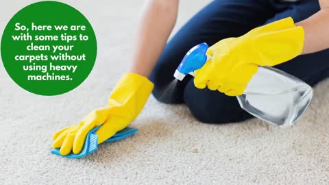 DIY Carpet Cleaning Without A Machine