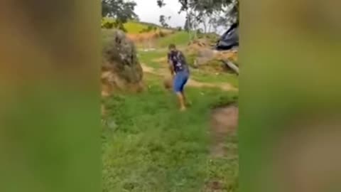 The Ultimate Animal Fail Compilation - Prepare to LOL!" Description