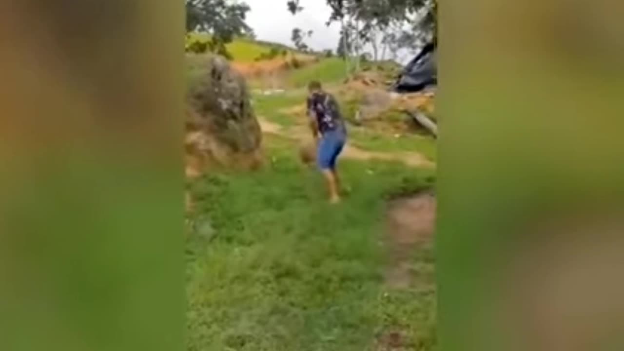 The Ultimate Animal Fail Compilation - Prepare to LOL!" Description