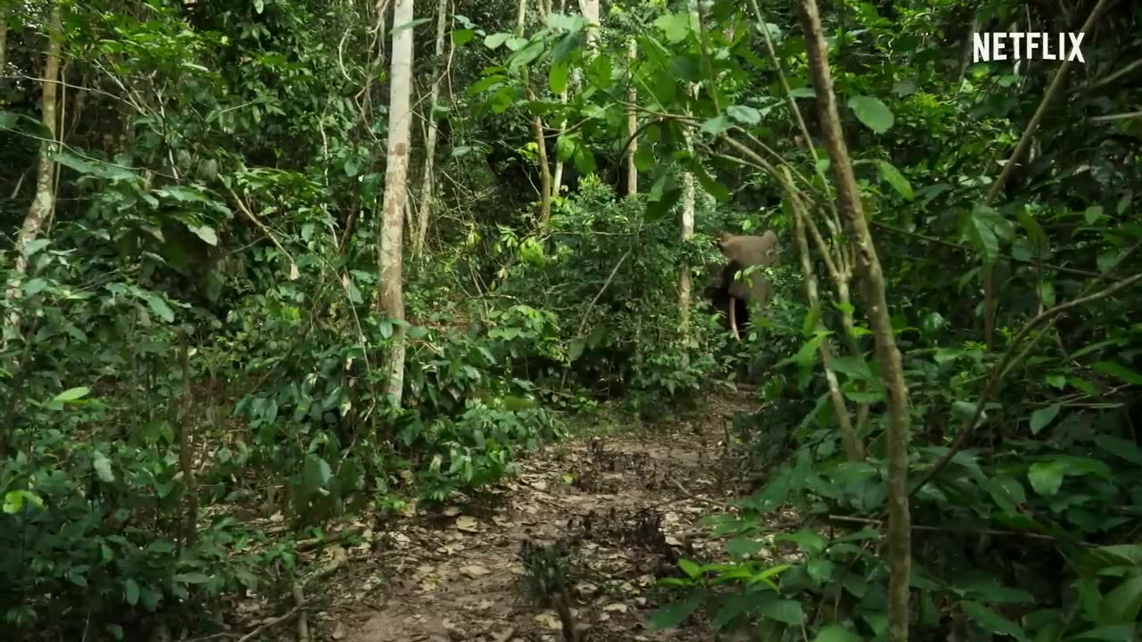 Nature has always made me happy
