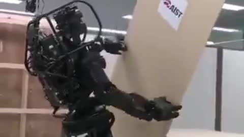 Humanoid robot