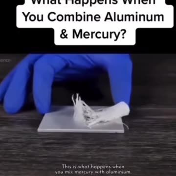 “認識鋁和汞混合後的狀態一”…自1930年代後，這兩種對人體有全身性、高度攻擊性的化學毒素，被運用作為疫苗製作的“佐劑”！請看，當多次接種讓此兩種劇毒素在體內混合後會如何？