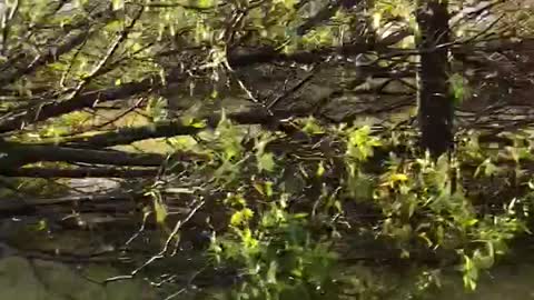 Close Encounter With Wisconsin Tornado