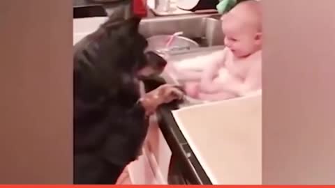 Cute baby and dog funn