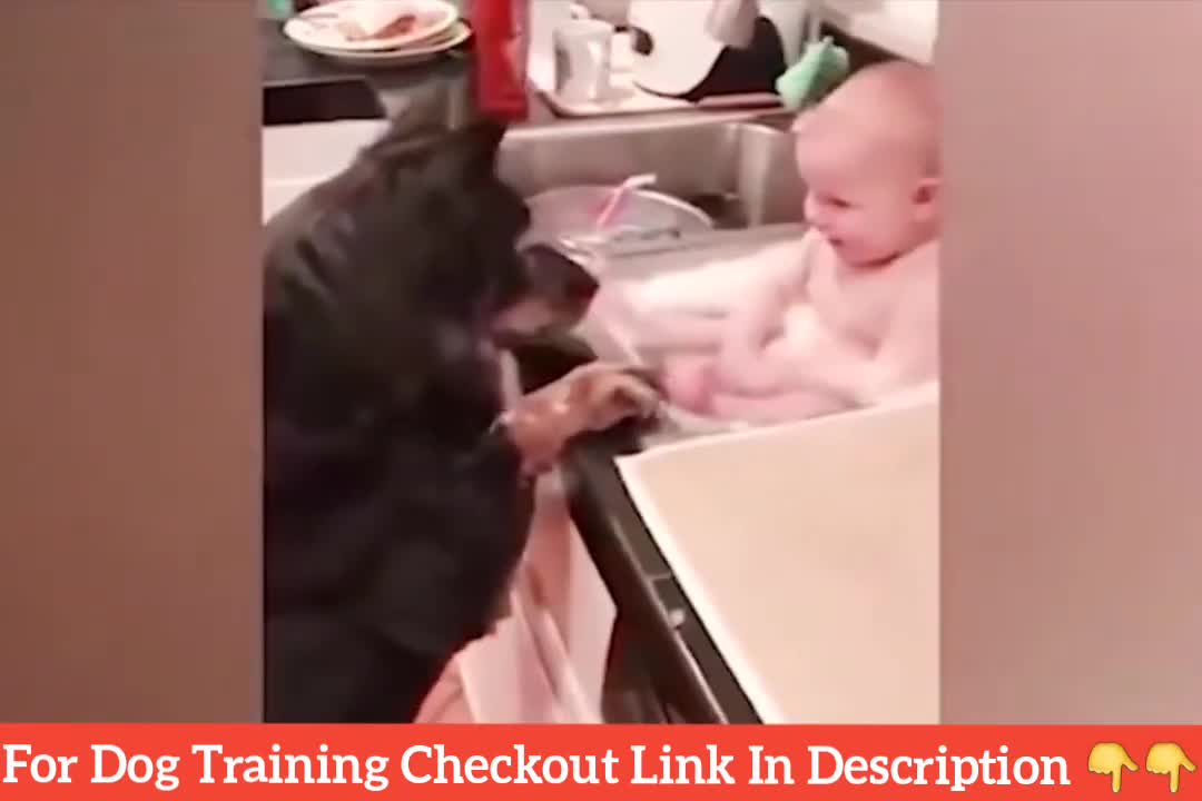 Cute baby and dog funn