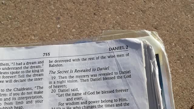 Communist Chinese are RESPONSIBLE for all these crimes.