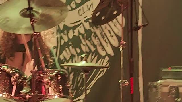 The Everyday Losers "Bleed"
