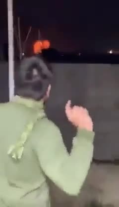 Multiple Iranian-made Fateh-110 short-range ballistic missiles were used