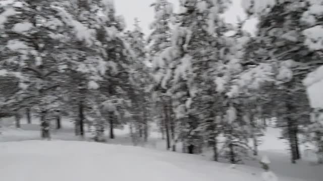 Finland - winter wonderland