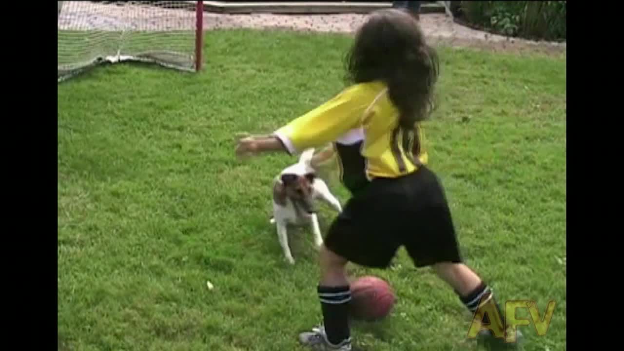 Dog Plays Soccer With Kids And Beats Them