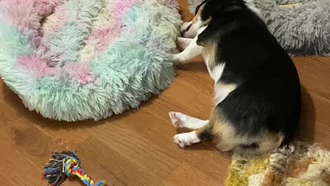 So Lazy
