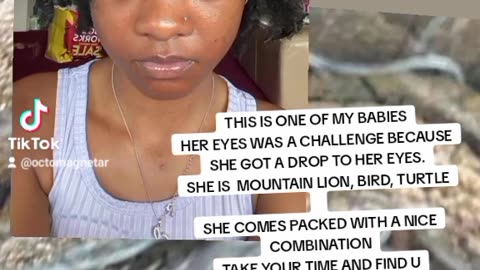 AN EXAMPLE TO FIND YOUR EYES IN ANIMALS