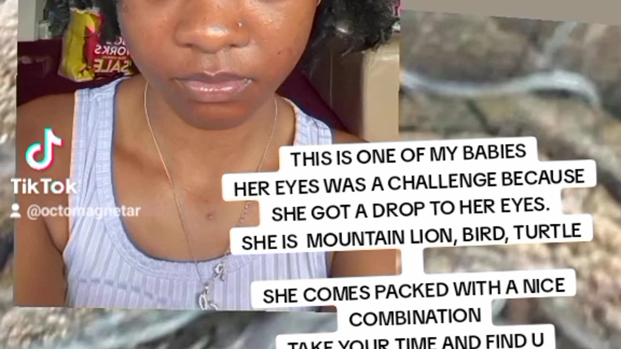 AN EXAMPLE TO FIND YOUR EYES IN ANIMALS