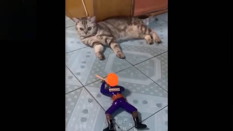 Cute And Funny Pets _ Try Not To Laugh To These Pets Compilation #7 Cutest Lands